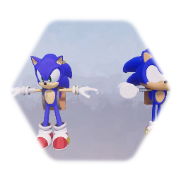 SATSM Sonic