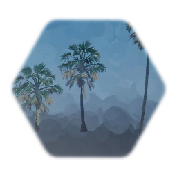 Yet another Palm tree