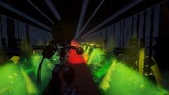 The creation : the final phase