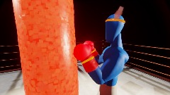 training boxing demo
