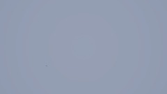 Remix of Dinetos Pizzeria