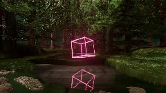 Abstract look, may day 2 - forest