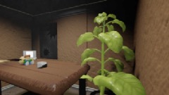 NUKA PLUSH VS ROCK!!!!