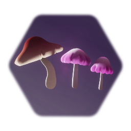 Shrooms!