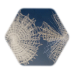 Spider webs