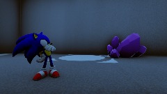 Sonic journey