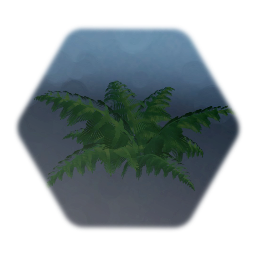 Fern