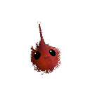 Killr_K11