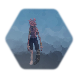 Wanderer