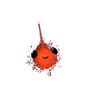 walrus_warrior98
