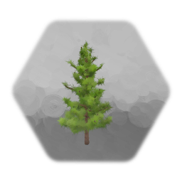 Pine Tree