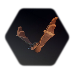 Animated Bat