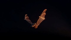 A screenshot taken in Dreams. 7 of 25.