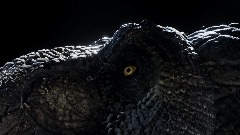 T Rex Head sculpt