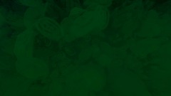 Pvz