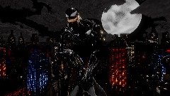 The Lethal Protector