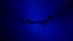A screenshot taken in Dreams. 4 of 4.