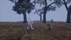 Realistic Forest Base