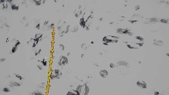 Test 1