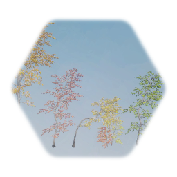Realistic American Beech Trees