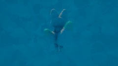 A screenshot taken in Dreams. 2 of 26.