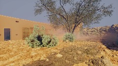 Desert ruins
