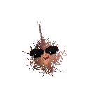 GalaxyEngineVR