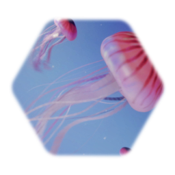 Jellyfish