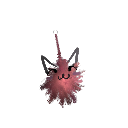 Clemrax