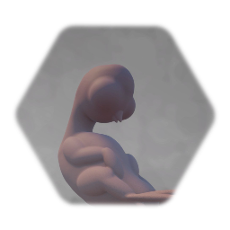 Embryo chick