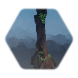 Mossy Tree Trunk