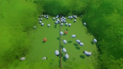 Sheep Shuffle