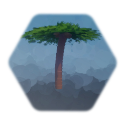 Palm Tree