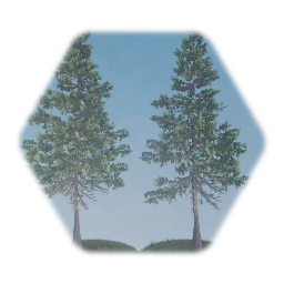 Photo Realistic Douglas Fir Tree