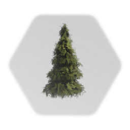Pine Tree