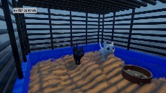 Cat . Scardy cat wip