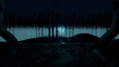 Dark Foggy Forest