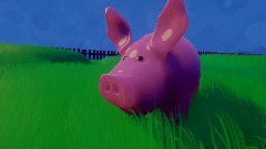 Bouncy pig