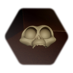 Monkey skull