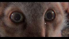 A screenshot taken in Dreams. 1 of 26.