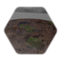 Type 2 dirt