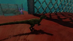 Dinosaur Chase