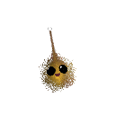 PatoMister_Duck