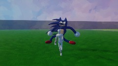 Sanic  chase