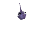TPOT_Black_Hole