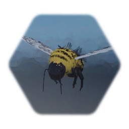 Bombus Ruderatus (Bumblebee)