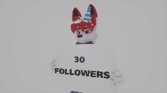 30 Followers