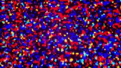 Glitched Attraction 2