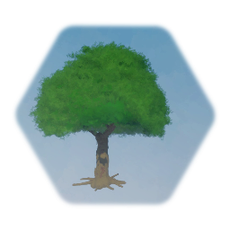 Tree with mossy trunk