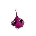 BerryMxo